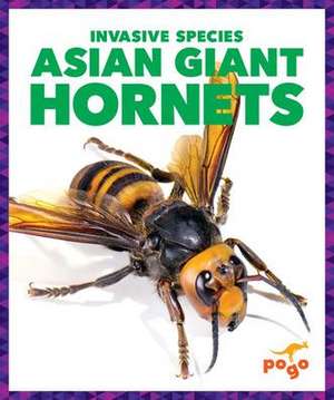 Asian Giant Hornets de Alicia Z Klepeis