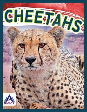 Cheetahs de Sophie Geister-Jones