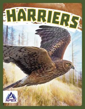 Harriers de Connor Stratton