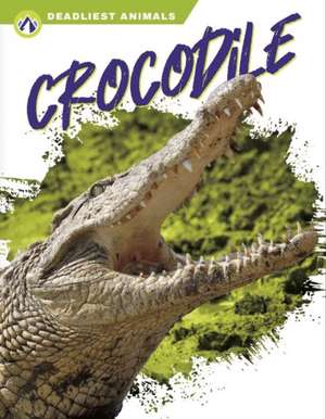 Crocodile de Golriz Golkar