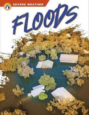 Floods de Sharon Dalgleish