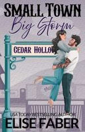 Small Town, Big Storm de Elise Faber