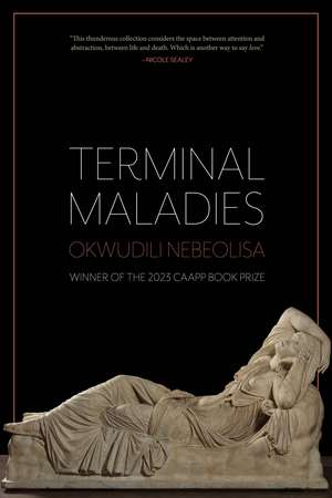 Terminal Maladies de Okwudili Nebeolisa