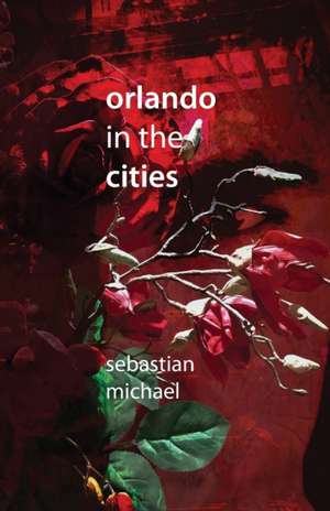 Orlando in the Cities de Sebastian Michael