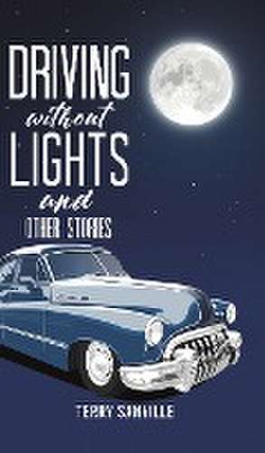 Driving Without Lights and Other Stories de Terry Sanville