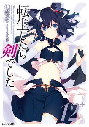 Reincarnated as a Sword (Light Novel) Vol. 12 de Yuu Tanaka