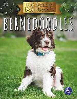 Bernedoodles de Christina Earley