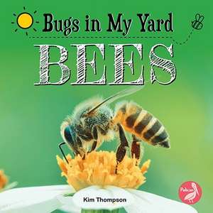 Bees de Kim Thompson