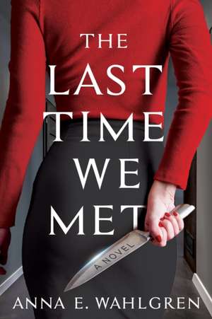 The Last Time We Met: A Novel de Anna E. Wahlgren