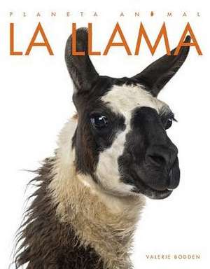 La Llama de Valerie Bodden