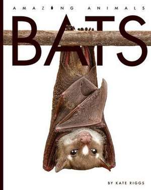 Bats de Kate Riggs