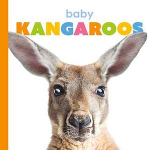 Baby Kangaroos de Kate Riggs