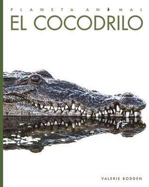 El Cocodrilo de Valerie Bodden