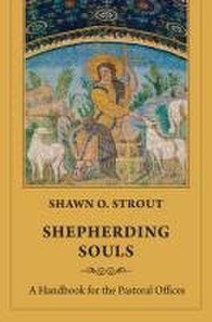 Shepherding Souls de Shawn O. Strout