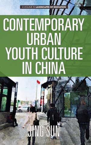 Contemporary Urban Youth Culture in China de Jing Sun