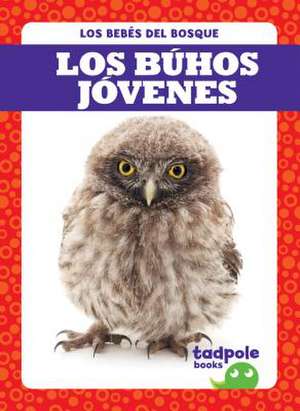 Los Buhos Jovenes (Owlets) de Nilsen, Genevieve