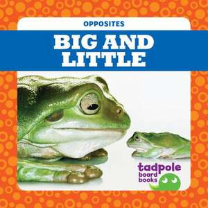 Big and Little de Erica Donner