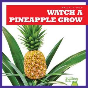 Watch a Pineapple Grow de Kirsten Chang