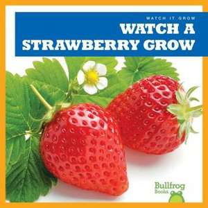 Watch a Strawberry Grow de Kirsten Chang