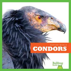 Condors de Jenna Lee Gleisner