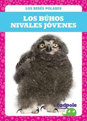 Los Búhos Nivales Jóvenes (Snowy Owlets) de Genevieve Nilsen