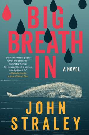 Big Breath In de John Straley