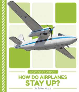 How Do Airplanes Stay Up? de Debbie Vilardi