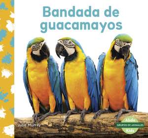 Bandada de guacamayos (Macaw Flock) de Julie Murray