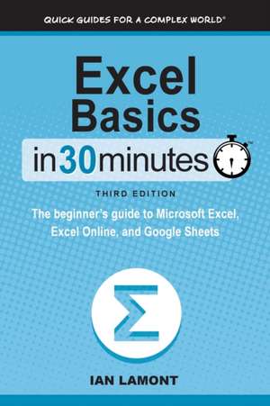 Excel Basics In 30 Minutes de Ian Lamont