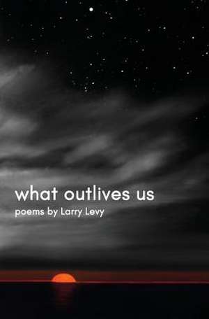 What Outlives Us de Larry Levy