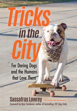 Tricks in the City de Sassafras Lowrey