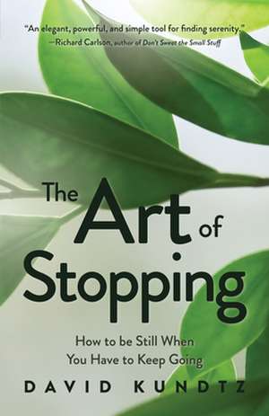 Art of Stopping de David Kundtz