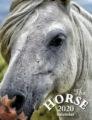 The Horse 2020 Calendar de Wall Publishing