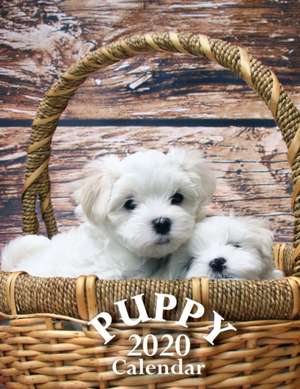 Puppy 2020 Calendar de Wall Publishing