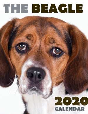 The Beagle 2020 Calendar de Over the Wall Dogs