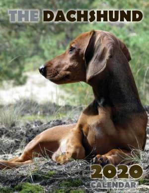 The Dachshund 2020 Calendar de Over the Wall Dogs