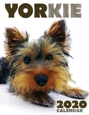 Yorkie 2020 Calendar de Over the Wall Dogs