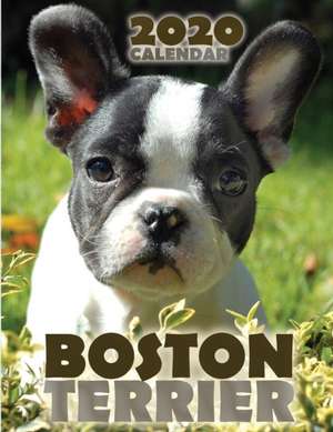 Boston Terrier 2020 Calendar de Over the Wall Dogs