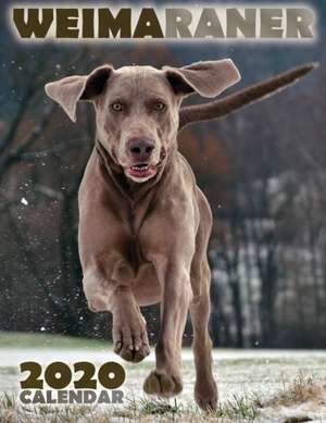 Weimaraner 2020 Calendar de Over the Wall Dogs