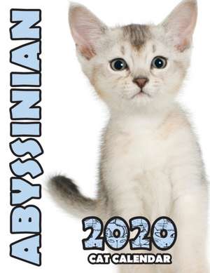 Abyssinian 2020 Cat Calendar de Climbing Wall Cats