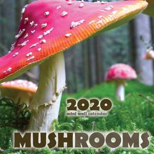 Mushrooms 2020 Mini Wall Calendar de Wall Publishing