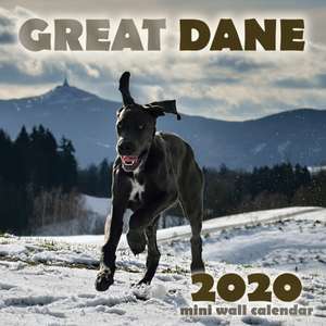 Great Dane 2020 Mini Wall Calendar de Over the Wall Dogs