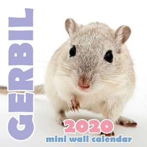 Gerbil 2020 Mini Wall Calendar de Wall Publishing