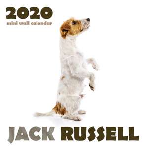 Jack Russell 2020 Mini Wall Calendar de Over the Wall Dogs