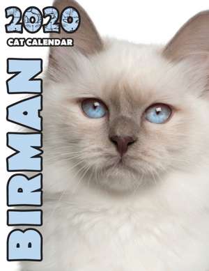 Birman 2020 Cat Calendar de Climbing Wall Cats