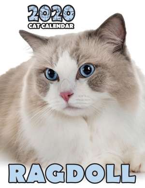 Ragdoll 2020 Cat Calendar de Climbing Wall Cats