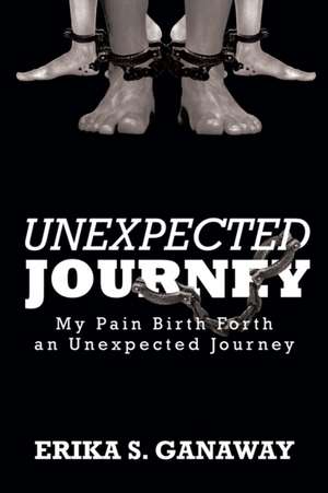 Unexpected Journey de Erika S. Ganaway