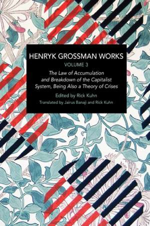 Henryk Grossman Works, Volume 3 de Henryk Grossman