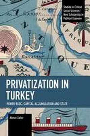 Privatization in Turkey de Ahmet Zaifer