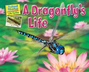 A Dragonfly's Life de Ellen Lawrence